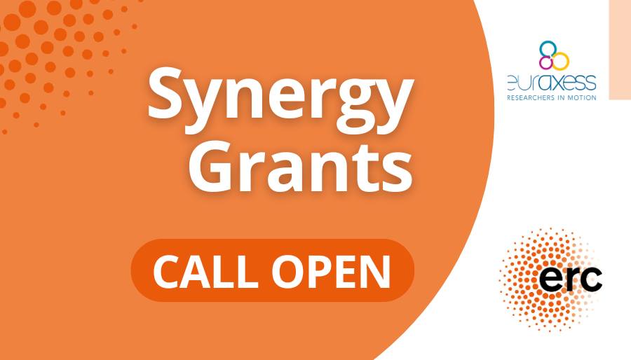 ERC Synergy Grants Call | EURAXESS